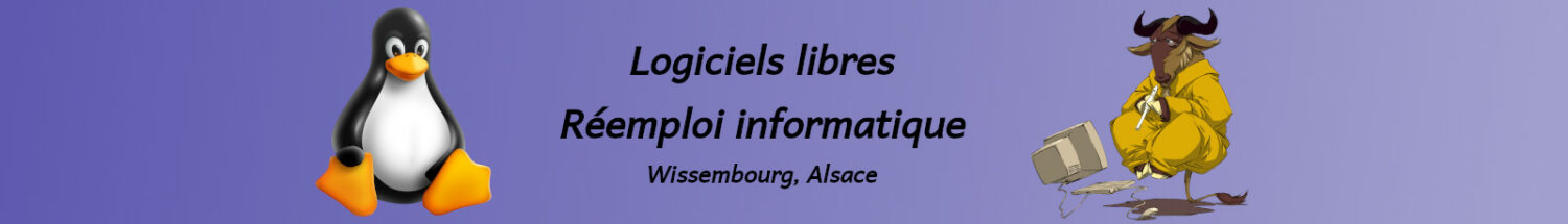 Logiciels libres, Réemploi informatique