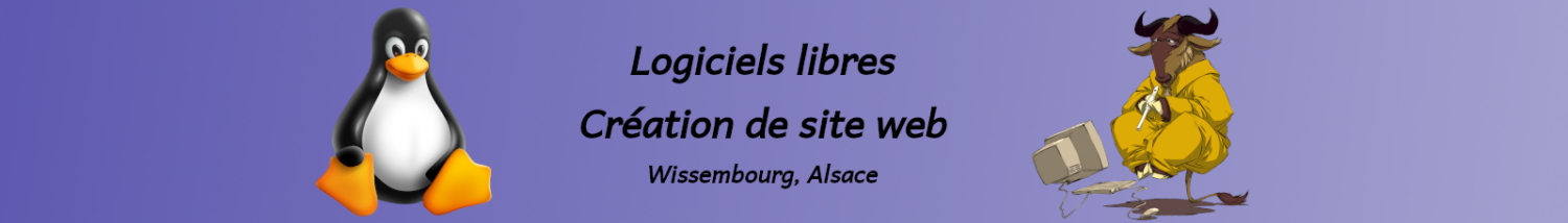 Logiciels libres, Création de site web